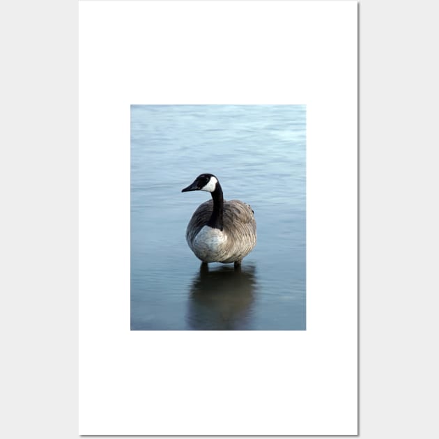 Evening Goose Wall Art by briankphoto